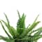18.5" Potted Artificial Green Boston Fern Plant